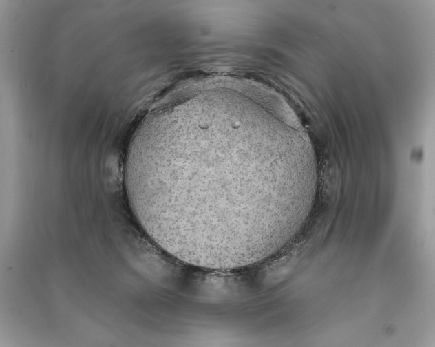 X0000090710420200708101510