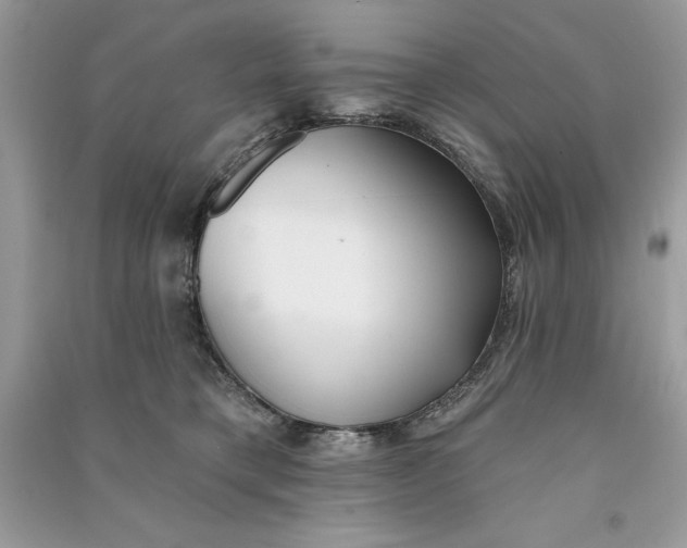 X0000090710421200708101510