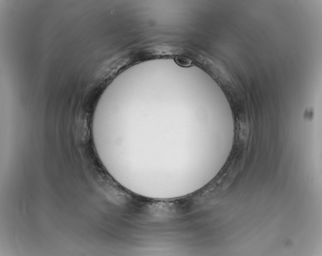 X0000090710422200708101510