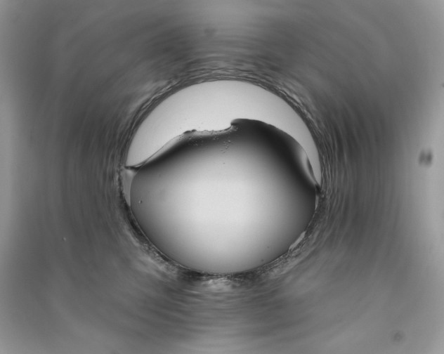 X0000090710423200708101510