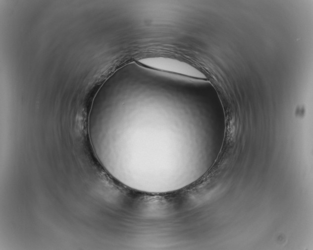 X0000090710424200708101510