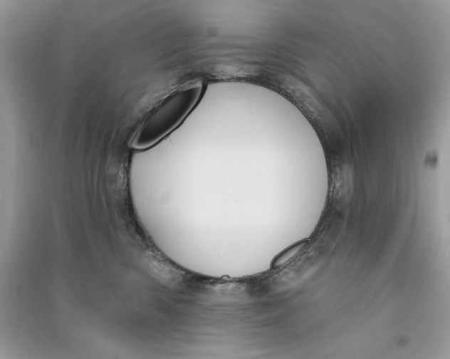 X0000090710426200708101509