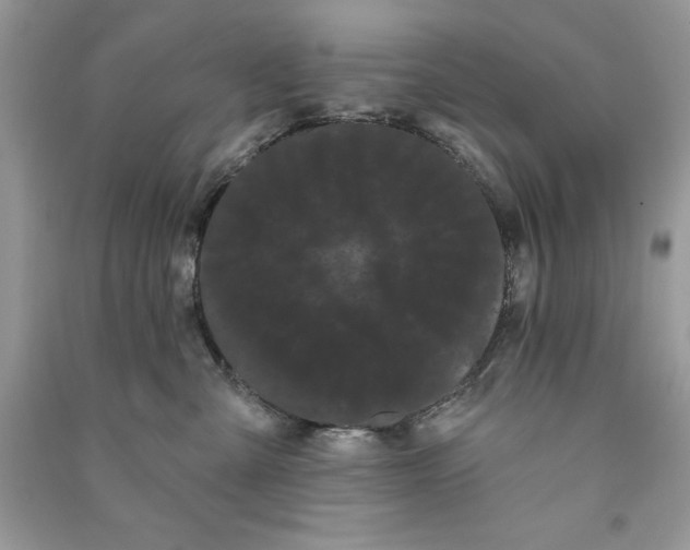 X0000090710427200708101509