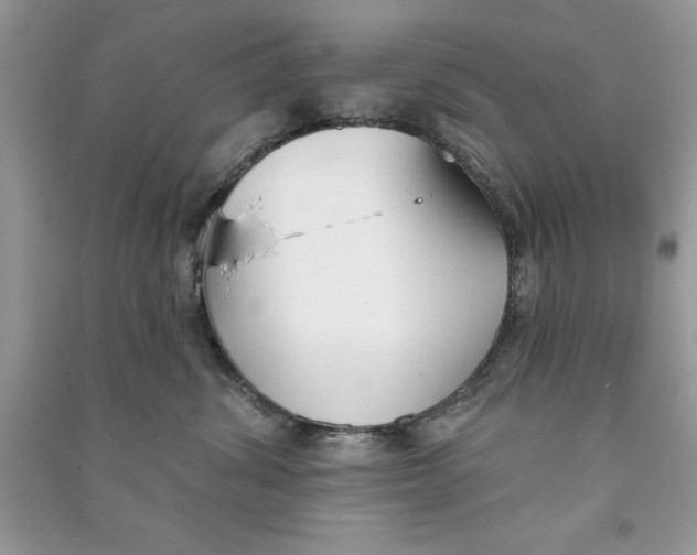 X0000090710428200708101509