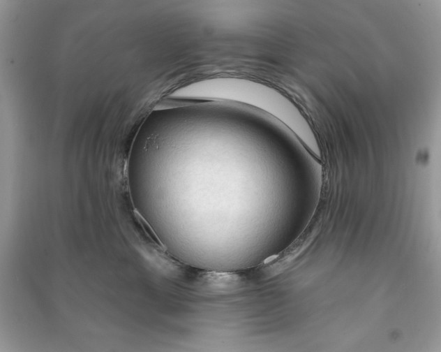 X0000090710429200708101509