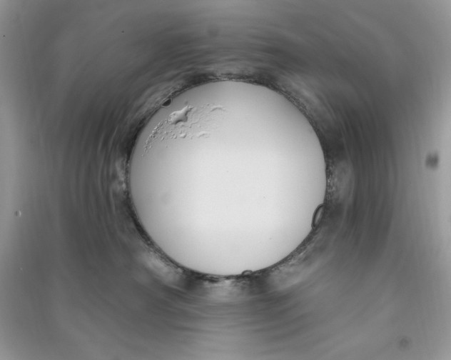 X0000090710430200708101509