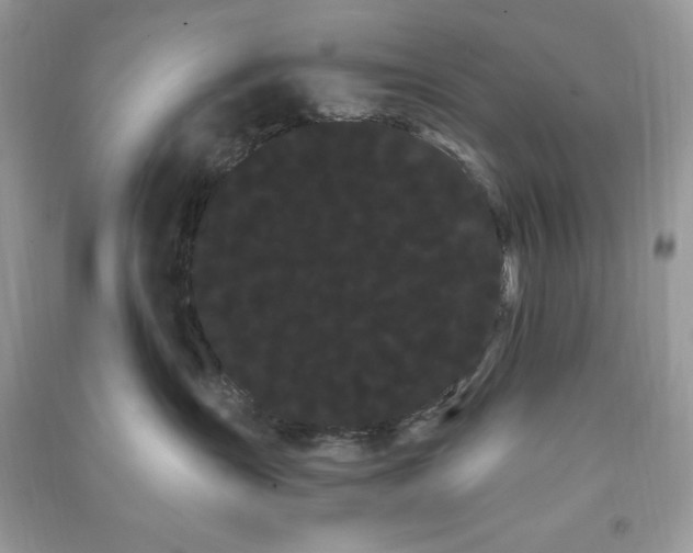 X0000090710431200708101509