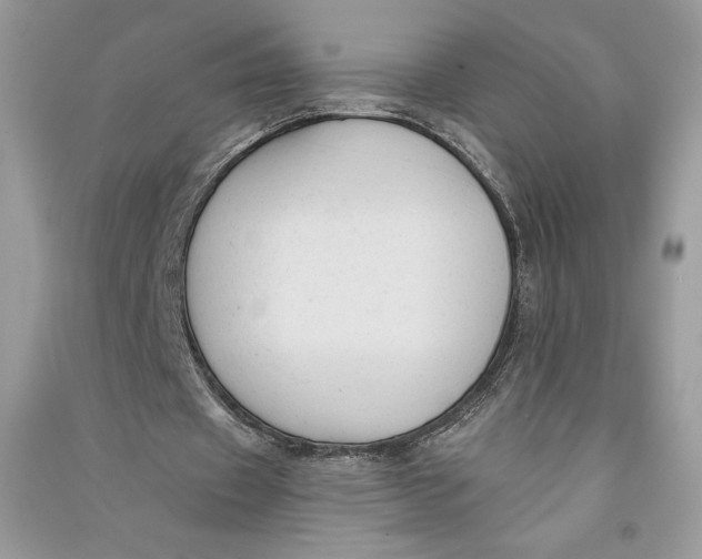 X0000090710433200708101509