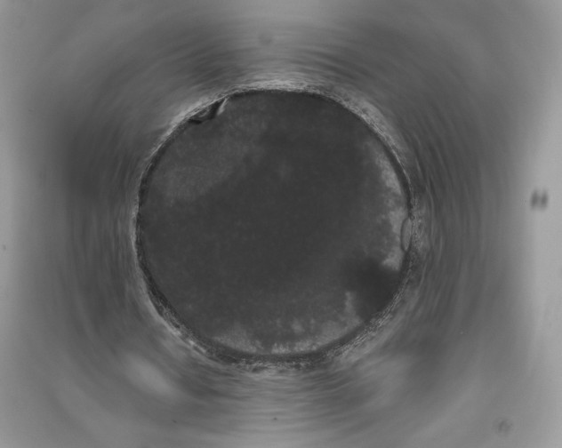 X0000090710434200708101509