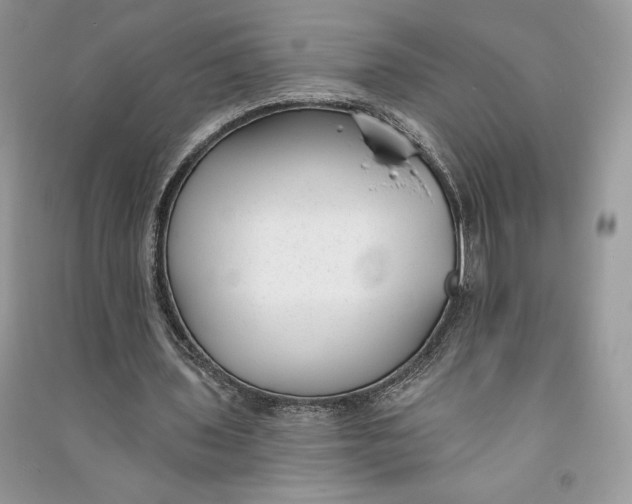 X0000090710435200708101509