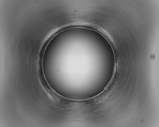 X0000090710436200708101509