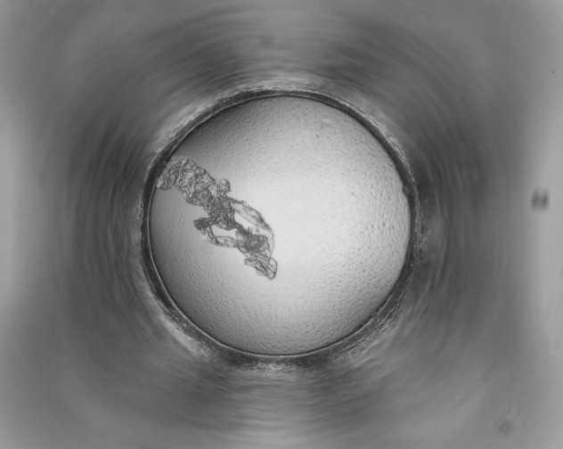 X0000090710437200708101509