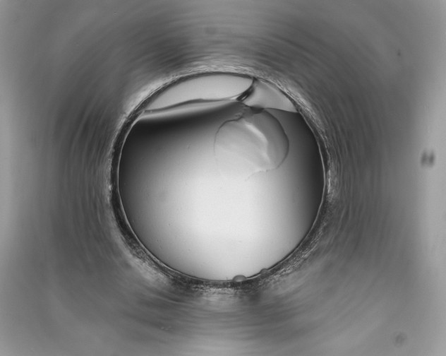 X0000090710438200708101509