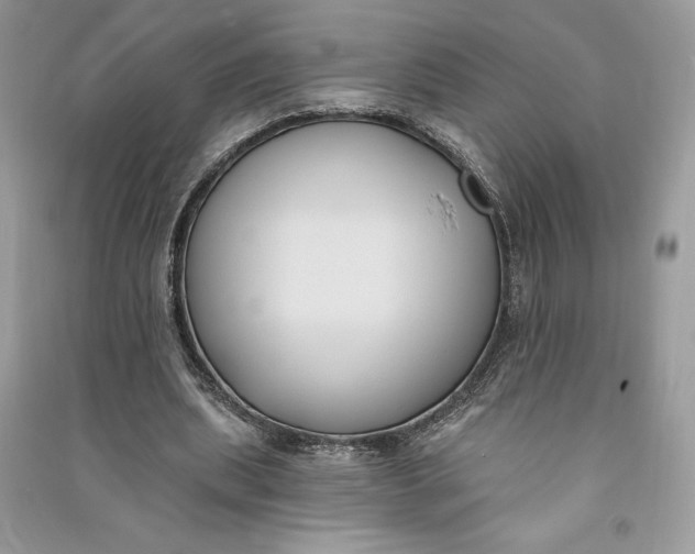 X0000090710439200708101509