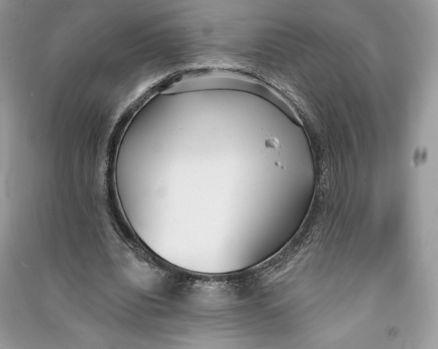 X0000090710440200708101509