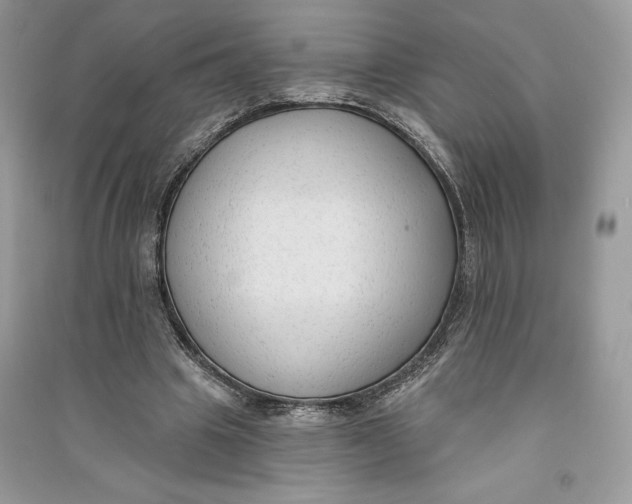 X0000090710441200708101509