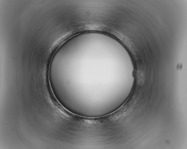 X0000090710442200708101509