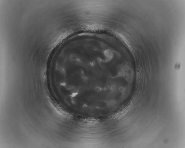 X0000090710443200708101509