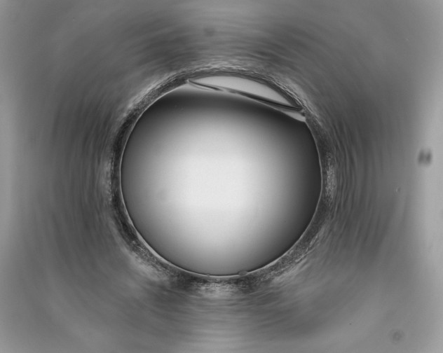 X0000090710444200708101509