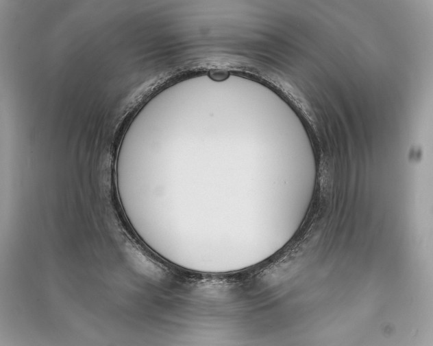 X0000090710445200708101509