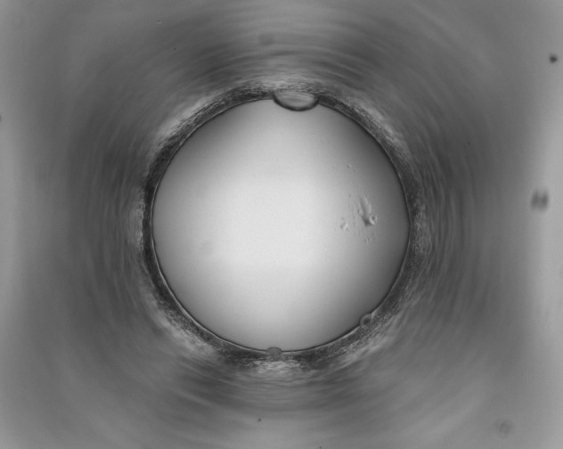 X0000090710446200708101509