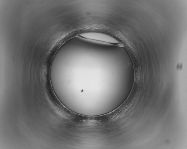 X0000090710448200708101509