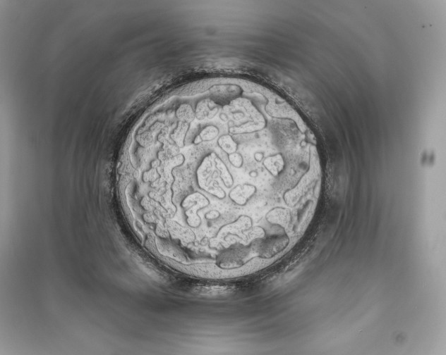 X0000090710449200708101509