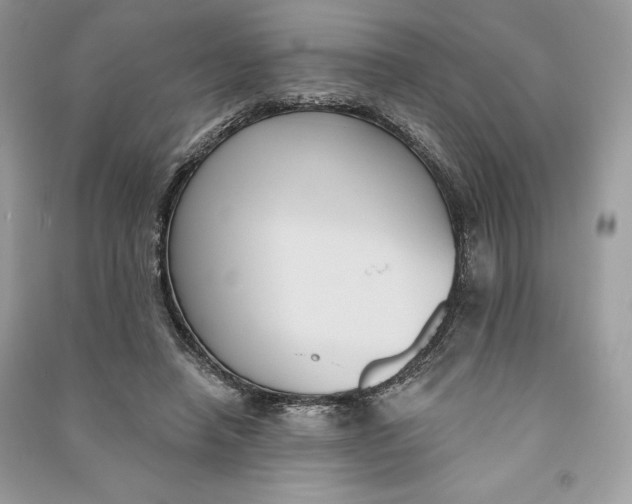 X0000090710450200708101509