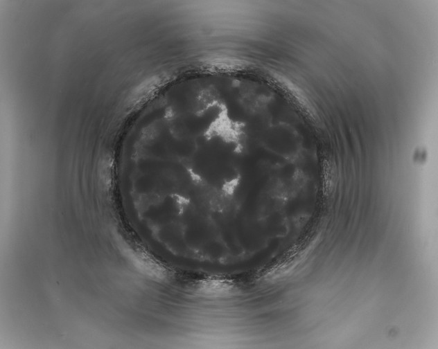 X0000090710451200708101509