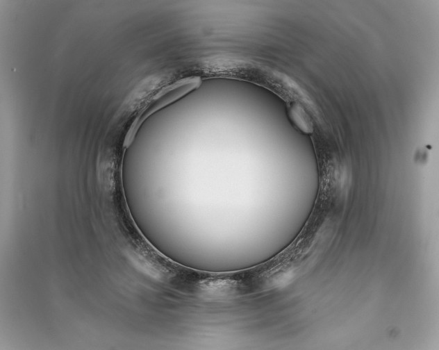 X0000090710452200708101509