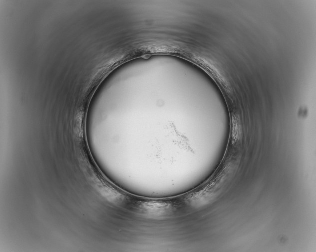 X0000090710453200708101509