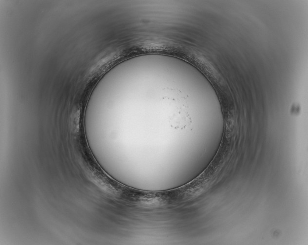 X0000090710454200708101509