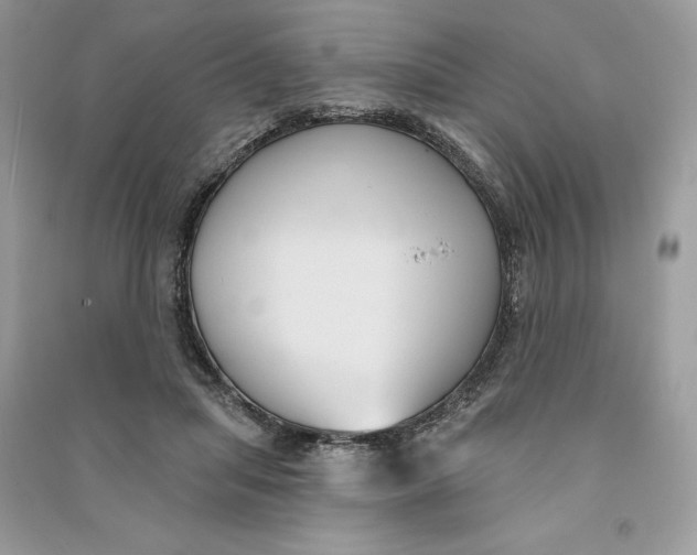 X0000090710455200708101509