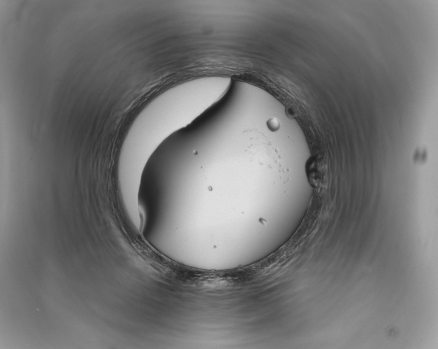 X0000090710456200708101509