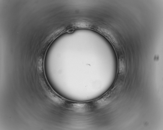 X0000090710457200708101509