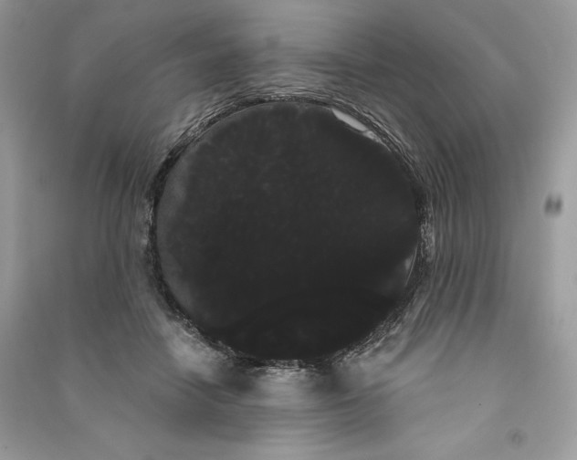 X0000090710458200708101509