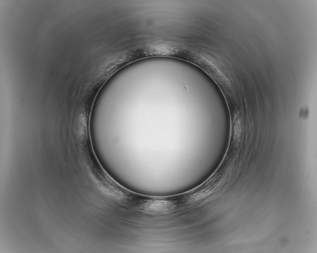 X0000090710459200708101509