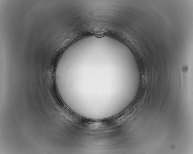 X0000090710460200708101509