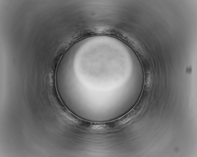 X0000090710461200708101509