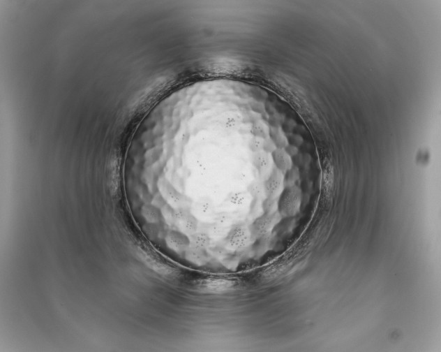 X0000090710462200708101509