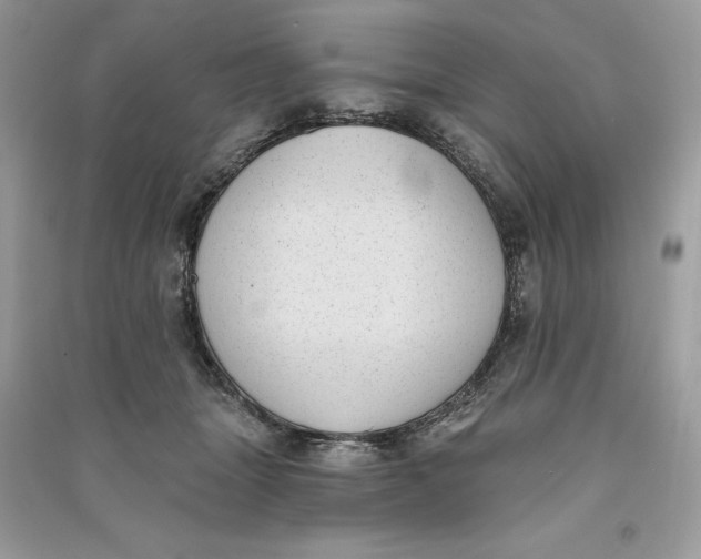 X0000090710463200708101509