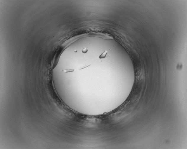 X0000090710464200708101509