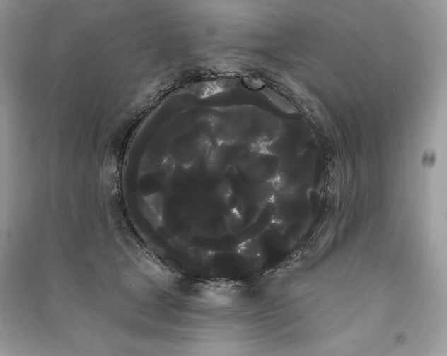 X0000090710465200708101509