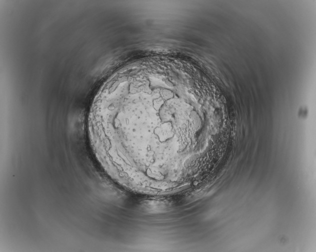 X0000090710466200708101509