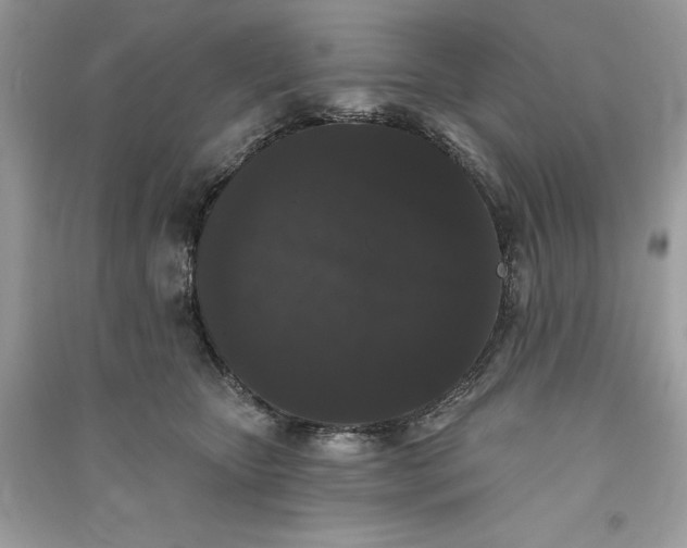 X0000090710467200708101509