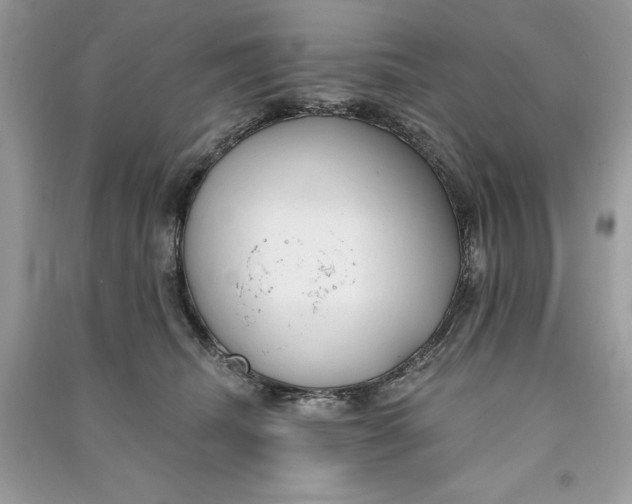 X0000090710468200708101509