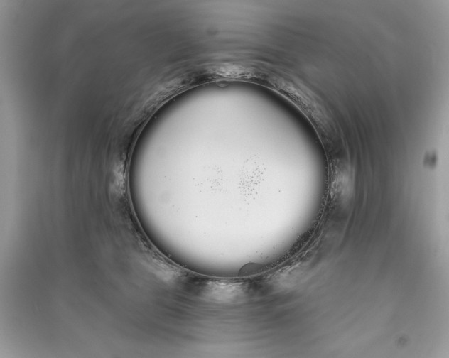 X0000090710469200708101509