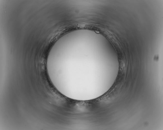 X0000090710470200708101509