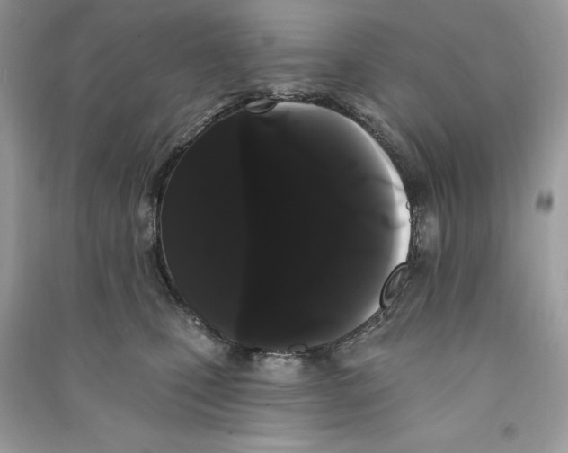 X0000090710471200708101509