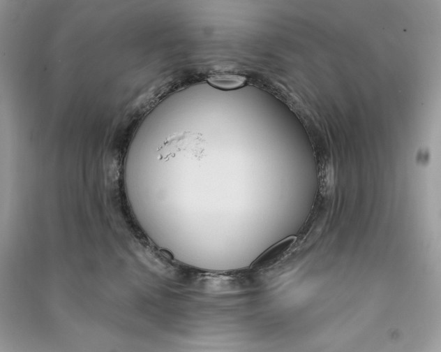 X0000090710472200708101509